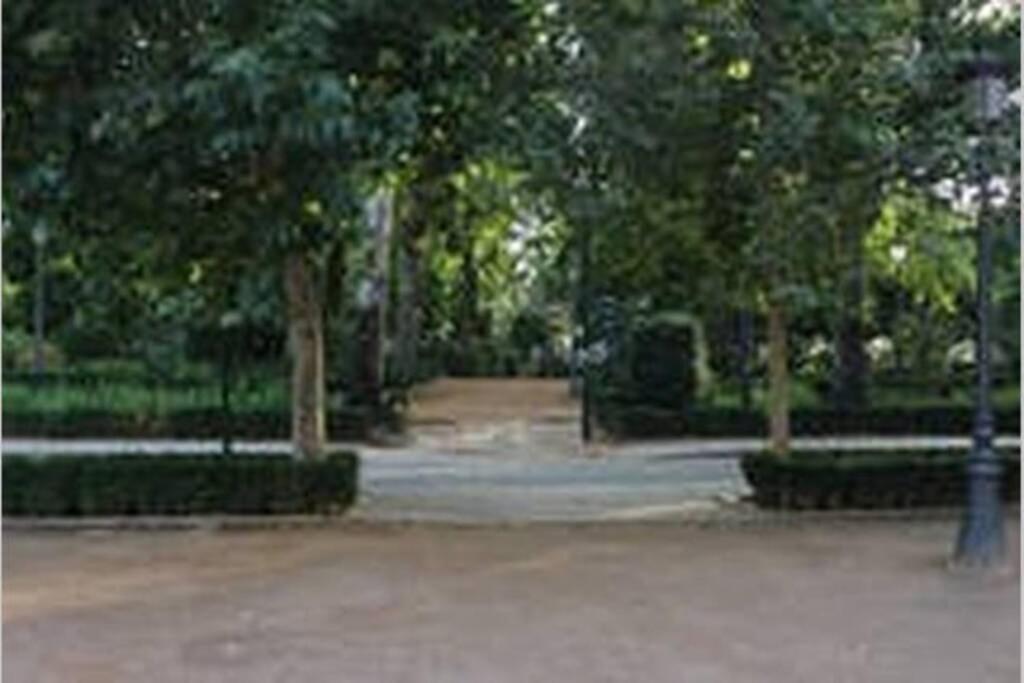 Fabuloso Piso Junto A Paseo De La Bomba Granada Exterior photo